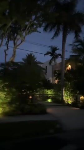 The video captures a dimly lit residential street at dusk or night. Tall palm trees and other lush vegetation are visible on either side of the street, some of which are illuminated by soft, warm spotlights. The houses appear to be large and well-maintained, with a modern architectural style. A streetlight is visible on a pole in the foreground. The sky is a deep blue, indicating the late hour. The camera is in motion, suggesting a vehicle is driving past these properties. There are no people visible in the video. The overall atmosphere is serene and sophisticated.