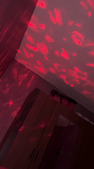 Red light patterns create liquid-like projections in Sofia interior