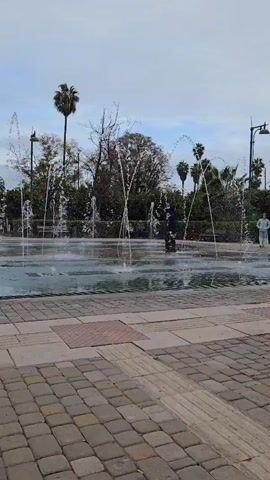 The video shows a fountain in a park setting, featuring multiple water jets shooting upwards. A person, dressed in dark clothing, is walking through the fountain. The surrounding area includes palm trees, benches, and greenery. The foreground is paved with interlocking stones and tactile paving. The sky appears overcast. The scene is observed from a static, slightly elevated perspective.