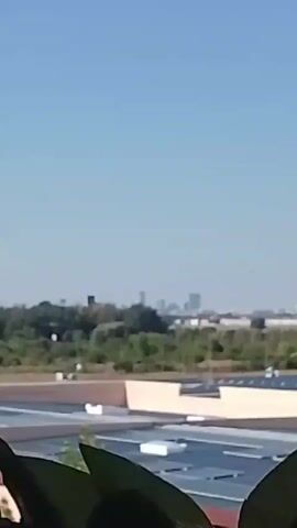 A distant city skyline is visible under a clear blue sky. In the foreground, a flat-roofed building with multiple rectangular skylights is present. Further back, there is a line of trees and several taller buildings, including apartment complexes and what appears to be a Lidl supermarket with its distinctive yellow and blue logo. A few small, dark objects, possibly birds or drones, are visible in the sky. The overall scene appears to be an urban or suburban environment on a sunny day.