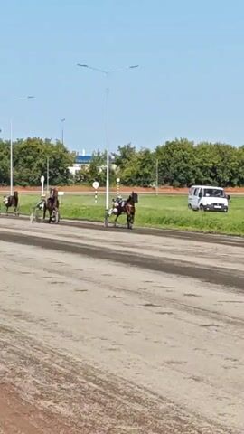 The video shows a harness race. In the foreground, a horse and sulky are moving from left to right across a dirt track. The horse is dark brown and is wearing a bridle and blinkers. The sulky is lightweight and two-wheeled, and a person wearing a red, white, and blue racing outfit is seated in it. The person is wearing a helmet and appears to be driving the horse. In the background, another horse and sulky are visible further to the left. Beyond the track, there is a grassy field with trees and a white van parked on the side. The sky is clear and blue, indicating a sunny day. The video is shot from a stationary position, likely at the side of the track. The primary action is the movement of the horse and sulky across the track.