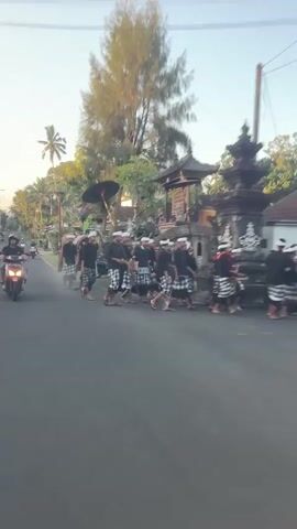 A procession of individuals dressed in traditional Balinese attire, including black shirts and checkered sarongs, walks along a paved road. Some carry what appear to be musical instruments or ceremonial objects, such as gongs and drums. Others hold umbrellas and what seems to be a large effigy. The procession is passing by ornate Balinese temple gates and structures. A person on a motorcycle is visible in the foreground, moving in the same direction as the procession. The environment appears to be a village or town, with trees and buildings lining the road. The time of day seems to be either sunrise or sunset, as indicated by the warm, soft lighting.