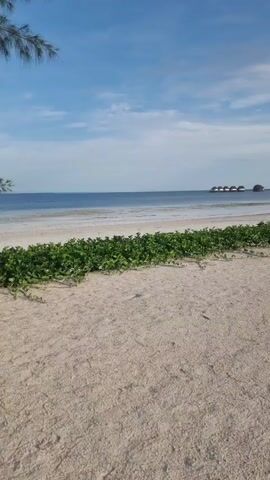 The video shows a white sand beach, a row of thatched-roof bungalows on the horizon over the water, a small tree, beach chairs with a thatched umbrella, a beachside building with a thatched roof, a swimming pool surrounded by a brick path, and palm trees. The sky is blue with scattered white clouds. The video is shot in a slow pan from left to right.