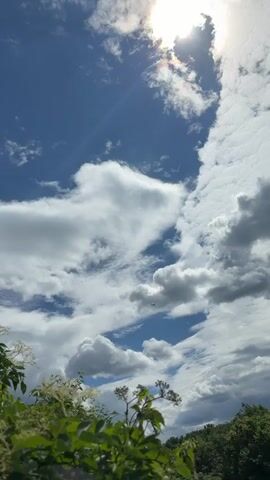 The video displays a sky with clouds and the sun. In the foreground, there are green leaves and branches. A small airplane is visible in the distance. The sun is partially obscured by clouds, creating a bright glare and a rainbow effect. The sky is blue, with white and gray clouds scattered across it. The bottom portion of the video shows a dense line of green trees.