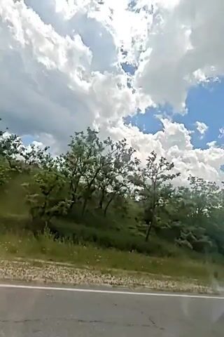The video captures a view from a vehicle traveling alongside a tree-lined embankment under a cloudy sky. The trees, predominantly deciduous with green foliage, line a grassy slope. The sky is a mix of bright blue patches and large, fluffy white clouds. The road surface is visible in the foreground. The perspective suggests movement, as the scenery appears to be passing by.
