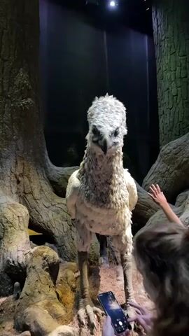 A video shows a large, realistic animatronic creature resembling a bird with a feathered head and chest and large talons standing in a forest-like environment. The creature is lit from above, casting shadows. To the right, a person's hand is visible, reaching out towards the creature. In the foreground, the top of a smartphone is visible, angled towards the creature, suggesting someone is recording or photographing it. The background consists of large, gnarled tree trunks and dark shadows, creating an immersive atmosphere. The creature appears to be the central focus of the scene, with the people and their devices positioned to observe and capture its presence.