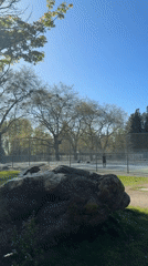 Tennis players recorded at Vancouver park during sunny day