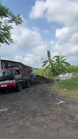 A man is shoveling dirt from the back of a small red truck. The truck is parked on a dirt road next to a pile of dirt. In the background, there are some trees and a banana plant. The sky is blue with some clouds.