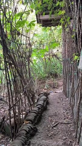 The video shows a person walking along a narrow, overgrown path. On the left side of the path, there are dense, thorny plants with thin branches, creating a wall-like effect. Some broken terracotta tiles are arranged along the edge of the path. On the right side of the path, there are more thin, vertical stems of plants, and further down the path, the vegetation appears less dense, with some debris visible. Overhead, the branches of trees with green leaves form a canopy, and a small wooden structure is partially visible in the upper right corner. As the person continues to walk, they pass by more of the thorny plants and the path becomes somewhat wider. The video continues to pan and move along the path, showing the dense foliage and the rustic, natural environment. In some sections, there appear to be objects or debris scattered on the ground, and the overall impression is of an untamed, somewhat neglected outdoor space. Towards the end of the video, the path appears to be paved with stones, and the canopy of leaves overhead becomes more prominent.
