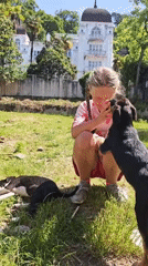 Girl plays with puppies in Abkhazia morning scene