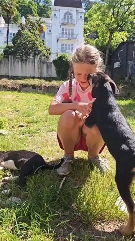 A young girl with blonde hair in pigtails, wearing a pink t-shirt with heart patterns and pink shorts, is squatting in a grassy area. She is interacting with two puppies; one is a black and tan puppy standing on its hind legs, playfully putting its paws on her, and the other is a black and white puppy lying down on the grass. The girl is smiling and appears to be enjoying her time with the puppies.

In the background, there is a large white building with a distinctive dark-colored dome and multiple balconies. The building is surrounded by lush green trees and foliage, suggesting a sunny outdoor environment. A fence or wall is visible behind the girl, separating the grassy area from what appears to be a residential or park-like setting. The weather is clear and sunny, as indicated by the bright lighting and shadows. The scene evokes a sense of joy and playfulness between the girl and the animals in a natural, open space.