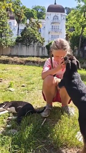 Girl plays with puppies in Abkhazia morning scene