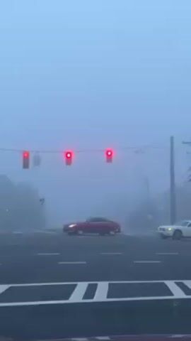 The video shows an intersection on a foggy day with red traffic lights. Several cars pass through the intersection.  There are trees and utility poles visible in the background, obscured by fog.