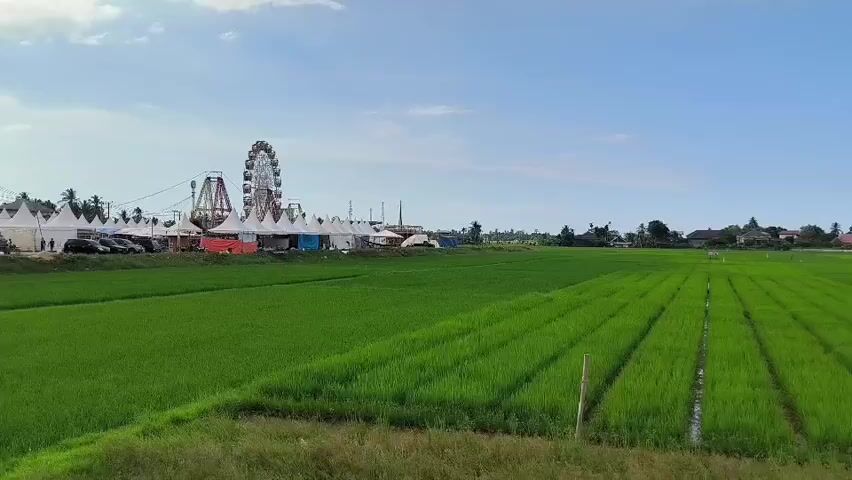 The video shows a lush green rice field under a bright blue sky. In the distance, there's a fairground with a Ferris wheel and white tents. Some cars are parked along the side of the fairground. Scattered houses can be seen further back. A dark vertical structure briefly appears in the foreground, likely part of the filming location.