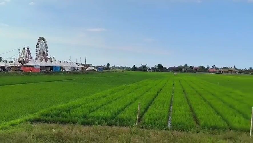 Indonesian village life documented: fairground, mosque, rice fields