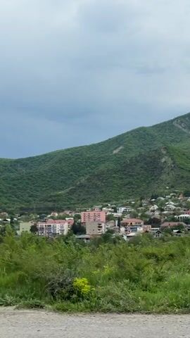 The camera is in a moving vehicle that is passing through an area of low vegetation. There is a small town visible with houses and buildings of various heights and colors. Behind the town, there is a large, green, tree-covered mountain. The sky is overcast. The camera passes close to some trees.