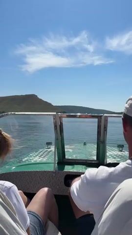 The video begins with a view from inside a boat, showing two people from behind. The person on the left has blonde hair pulled back, and is wearing a white shirt and denim shorts. The person on the right is wearing a white shirt and a white hat. The boat is moving forward on a body of water, with a clear blue sky and some clouds overhead. In the distance, there is a large hill or mountain. As the video progresses, the view shifts to show the water and the distant shoreline. The shoreline is hilly and covered with greenery. The boat is creating a wake behind it. The overall scene is one of a leisurely boat ride on a sunny day.