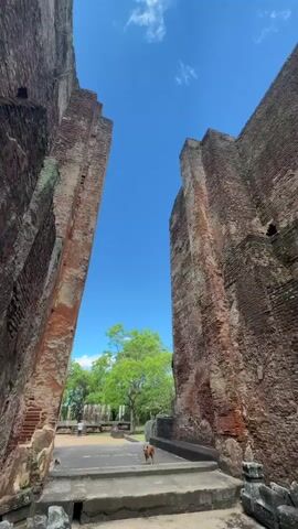 The video shows a low-angle view of the remains of an ancient brick building against a bright blue sky with scattered clouds. The walls of the structure are tall and made of weathered red brick, with some sections covered in moss or discoloration. Several small, dark openings, possibly windows, are visible high up on the wall.

In the foreground, there is a stone walkway or patio leading to the building. A dog is walking along the walkway, heading towards the building. In the distance, a few people can be seen on a pathway, and a green tree stands out against the sky. The overall impression is of a historical site, possibly a temple or fortress, in a state of partial ruin.