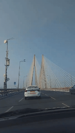Driver records daytime crossing of Mumbai cable-stayed bridge