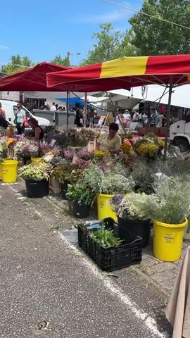 A street market scene shows a variety of stalls under red and white awnings. The foreground is dominated by a flower stall filled with numerous bouquets and potted plants in yellow and black buckets. A woman in a white top is arranging flowers. Behind her, other shoppers and vendors are visible further down the market aisle. A white van is parked behind one of the stalls. The ground is asphalt, and a black crate filled with greenery sits in the foreground. The overall atmosphere is that of a busy outdoor market on a bright, sunny day.