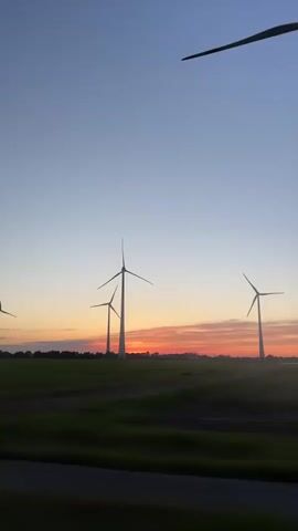 The video shows a view from a moving vehicle passing by wind turbines. The sky is a gradient of blue to orange-red, suggesting either sunrise or sunset. There's a green field in the foreground. The camera view is partially obstructed by tree branches at times. Voices can be heard in the background.