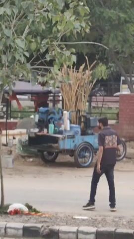 A man wearing a dark t-shirt and jeans walks away from a blue cart with a sugarcane press. The cart is loaded with sugarcane stalks. The man is walking on a dirt path next to a road. There are trees and bushes in the background.