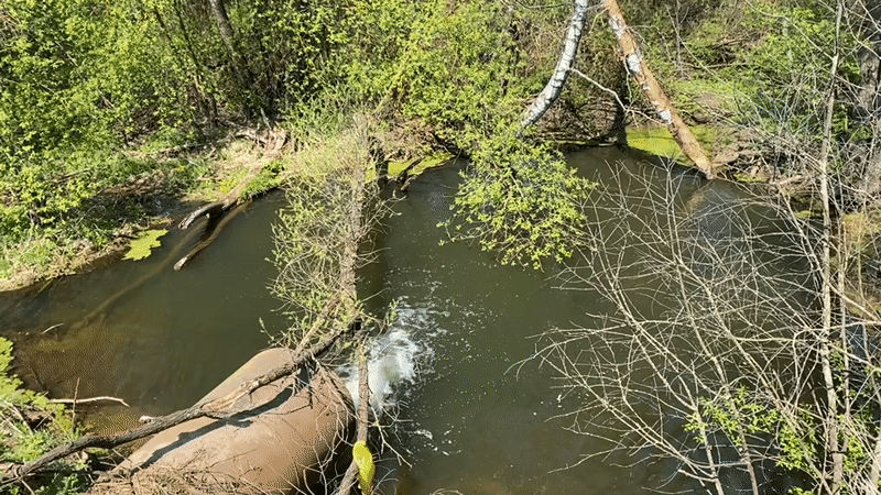 Natural water features documented in Malyi Bukor woodland area