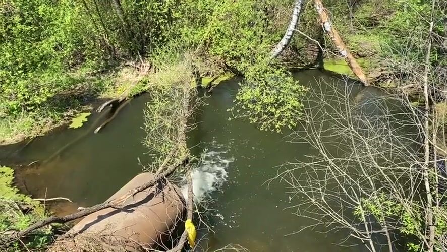Natural water features documented in Malyi Bukor woodland area