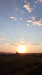 Sunset and cats observed in rural Khlevnoye, Russia