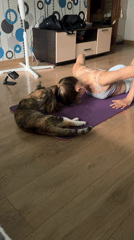 Home workouts, a curious cat, and everyday Chaikovsky life
