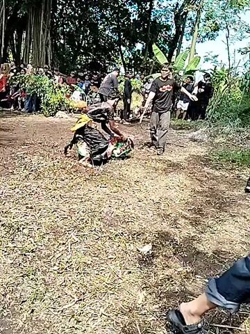 The video shows a man falling in front of a crowd of people and a large tree. The man is wearing dark clothing. Initially, he appears to be running or dancing, but then he tumbles to the ground. The crowd, standing around the perimeter of a dirt area, watches the man's fall. The environment includes trees, some with hanging roots, and scattered foliage. The video's overall impression is one of an outdoor performance or gathering where an unexpected incident has occurred.