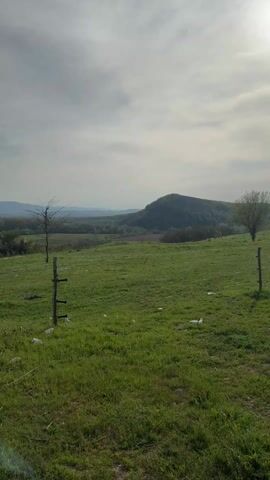 The video shows a daytime view of a grassy field with sparse trees and a wooden fence post in the foreground. In the distance, there are rolling hills and mountains under a partly cloudy sky. The grass is green and dotted with small white flowers.