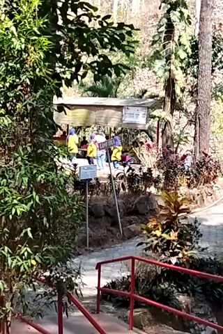 The video shows a group of people, some wearing yellow shirts, gathered under a covered structure in a wooded area. There are trees and foliage visible, along with a pathway and a red railing in the foreground. Signs are posted near the gathering. The scene appears to be outdoors in a natural setting.