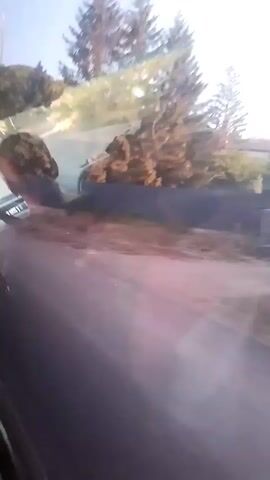 The video shows a view from inside a vehicle looking out the window. The scene outside is a landscape with trees, a hill, and a building. There is a person visible in the driver's seat, and another person in the passenger seat. The vehicle appears to be moving, as indicated by the motion blur in the footage. The weather seems to be clear and sunny.