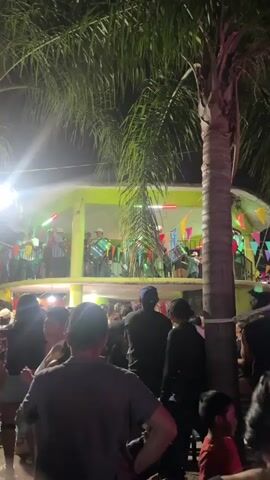 The video shows a crowd of people at an outdoor night event, with a band playing on a raised platform decorated with colorful pennants. The band members are wearing hats and playing various instruments, including accordions and drums. Palm trees stand in the foreground, partially obscuring the view of the platform and the crowd. Bright lights illuminate the scene, creating a festive atmosphere. People in the crowd are seen taking pictures, dancing, and enjoying the music.