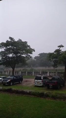 The video depicts a rainy scene in what appears to be a parking area adjacent to a grassy field. Several vehicles are parked, including a dark SUV, a silver minivan, and a red pickup truck. Two large trees frame the scene, with more trees visible in the background behind a white wall. The sky is overcast, and rain is falling heavily. There are no people visible in the frame. The focus is on the weather and the vehicles in the rain-soaked environment.
