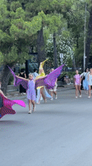 Parade and street life along Budva's palm-lined promenade