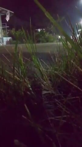 The video captures a low-angle view of grass at night. In the background, there are streetlights illuminating a paved area and some buildings with lights on. A white car is partially visible parked or driving in the background, and there are indications of other vehicles and structures. The scene appears to be outdoors in a somewhat urban or suburban setting.
