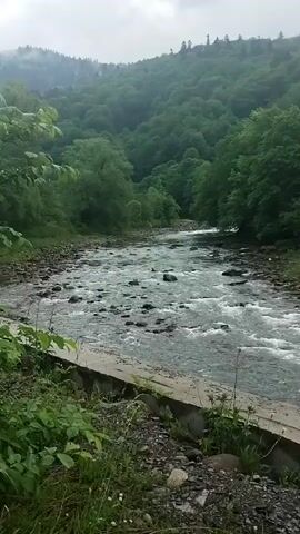 The video shows a river flowing over rocks in a forested area. The trees are lush and green, and the sky is overcast. There is a concrete structure at the edge of the river, and some vegetation growing nearby. A small building is visible in the distance on the right side of the river. The water is clear and flowing rapidly.