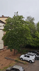 Quiet nature observation session documented in Pyatigorsk parking area