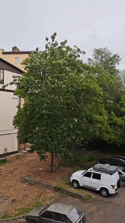 Quiet nature observation session documented in Pyatigorsk parking area