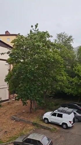 Quiet nature observation session documented in Pyatigorsk parking area