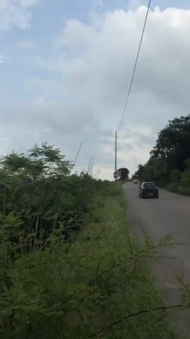 The video shows a roadside view with lush green vegetation on the left and a paved road on the right. A black car is seen driving away on the road, which curves slightly upwards. Power lines run diagonally across the frame. The sky is partly cloudy with a mix of white and grey clouds, suggesting it might be overcast or a day with a chance of rain. In the distance, along the road, there are a few more cars and some buildings or structures. The landscape appears rural or semi-rural, with trees and greenery dominating the scene. The camera is panning slightly to the right and possibly moving forward, giving a sense of journey. The vegetation in the foreground consists of dense bushes and some taller, slender plants.