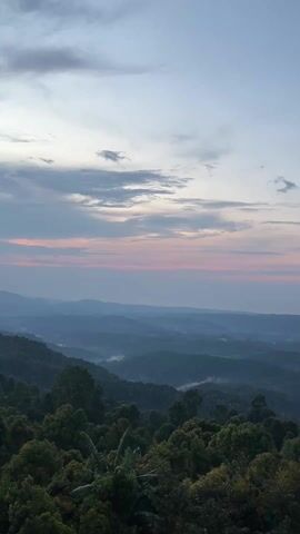 The video captures a scenic view of a mountainous landscape at dusk or dawn. The sky is filled with a mix of pale blue and light pink hues, indicating the presence of a setting or rising sun, partially obscured by scattered clouds. Layers of hills and mountains are visible in the distance, gradually fading into a hazy, blue-gray color due to atmospheric perspective. The foreground is dominated by dense green foliage, suggesting a thick forest or wooded area. There is mist or fog settled in the valleys between the hills.
