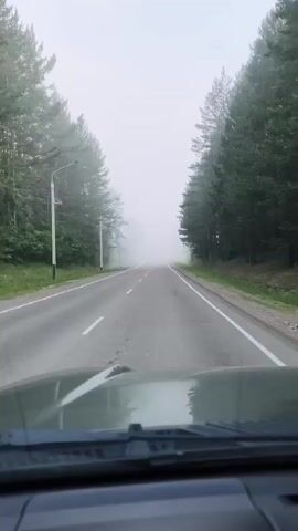 The video shows a first-person view from inside a vehicle traveling on a paved road lined with trees. Heavy fog obscures the road ahead and the surrounding environment, creating a low-visibility condition. The road appears to be a two-lane highway with white markings. The vehicle's dashboard and windshield wipers are visible in the foreground. The scene is static, with no people or other vehicles clearly discernible due to the fog. The overall atmosphere is one of isolation and limited visibility.