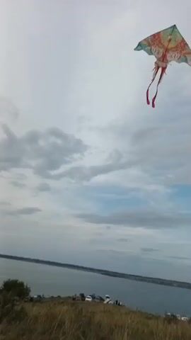 A kite flies in the sky above a body of water and a grassy hill. Several cars are parked on the hill overlooking the water. The sky is overcast with clouds.