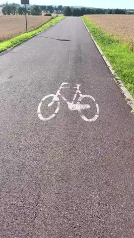 A paved path with a bicycle symbol painted on it is shown. The path goes through a rural landscape with fields of grain on either side. The sky is blue and clear. There is a signpost on the left side of the path. A lone tree stands in the distance in a field of grain.