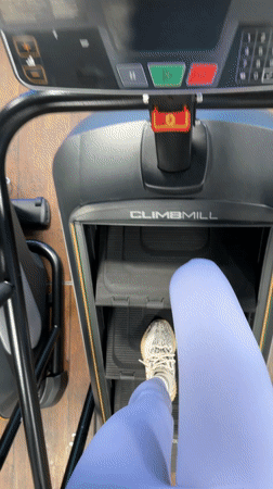 Gym workouts captured in Berlin fitness facility