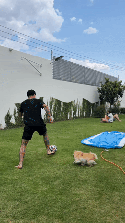 Woman resting on table in Mexican indoor setting