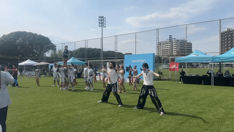 Cheerleading performance and sleeping dachshund captured in Antalya